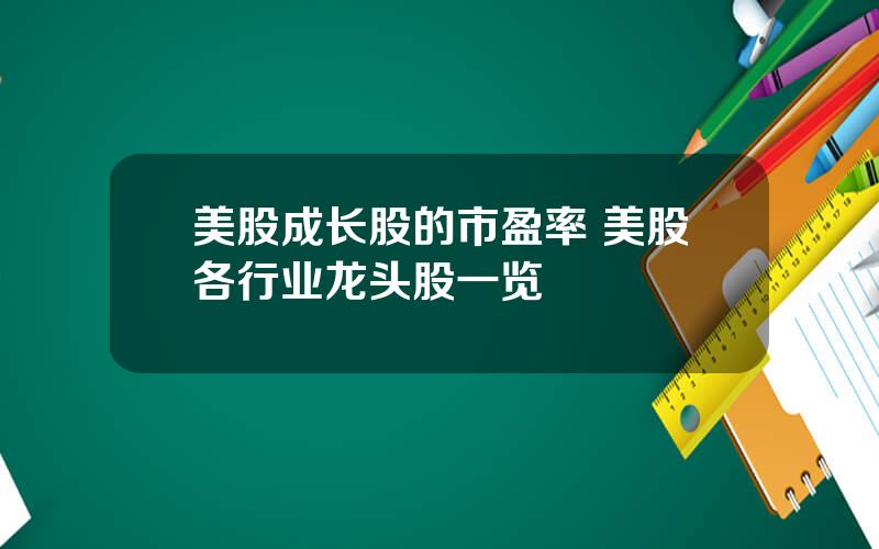 美股成长股的市盈率 美股各行业龙头股一览